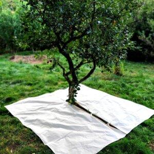 Plachta pod stromy